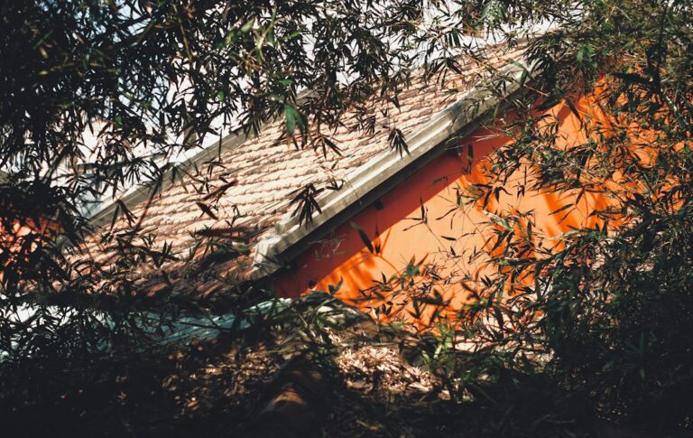 A large broken tree limb rests across damaged roof shingles beside scattered leaves and a bent gutter.